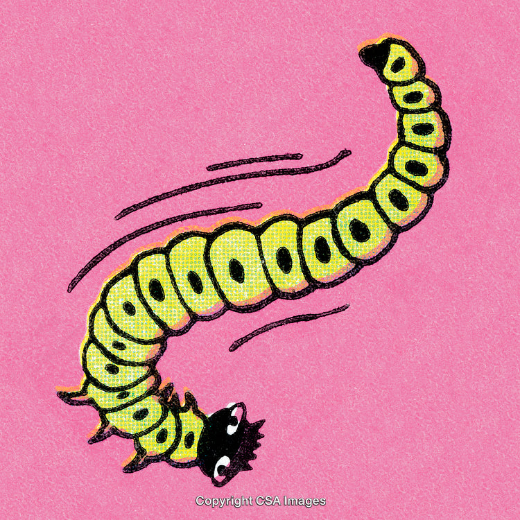 Bright Vector Illustration of a Cartoon Caterpillar on a Pink Background