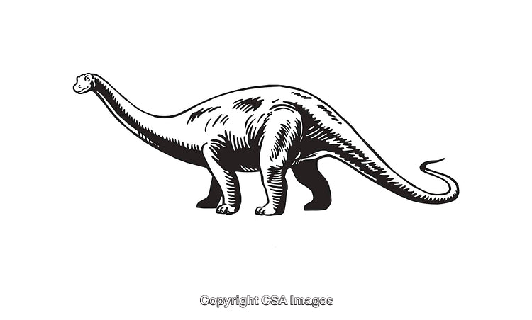 Black and White Illustration of a Dinosaur in Line Art Style
