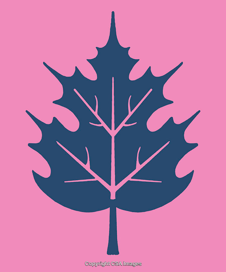 Blue Leaf Illustration on a Pink Background in Bold and Artistic Style