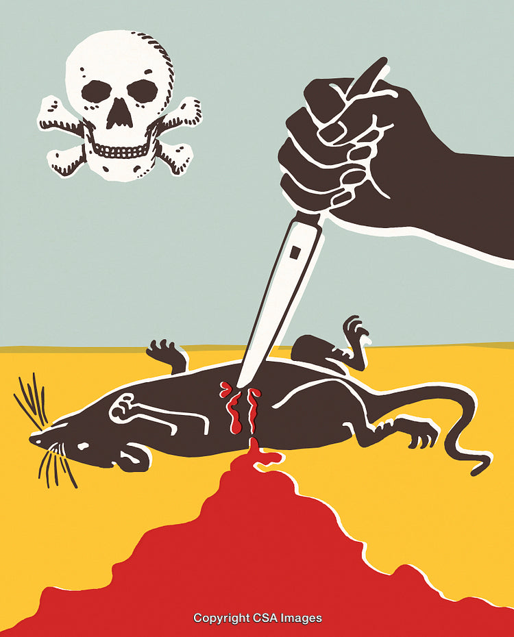 Artistic Depiction of a Mouse Symbolizing Danger and Precaution