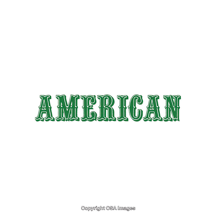 Stylized Green Lettering Displaying the Word 'American' in Bold Typeface