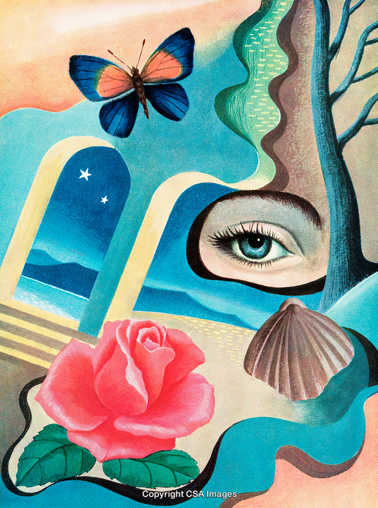 Surreal Artwork Featuring an Eye, Butterfly, Rose, and Other Symbolic Elements