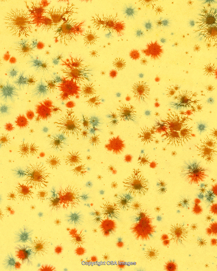 Pattern