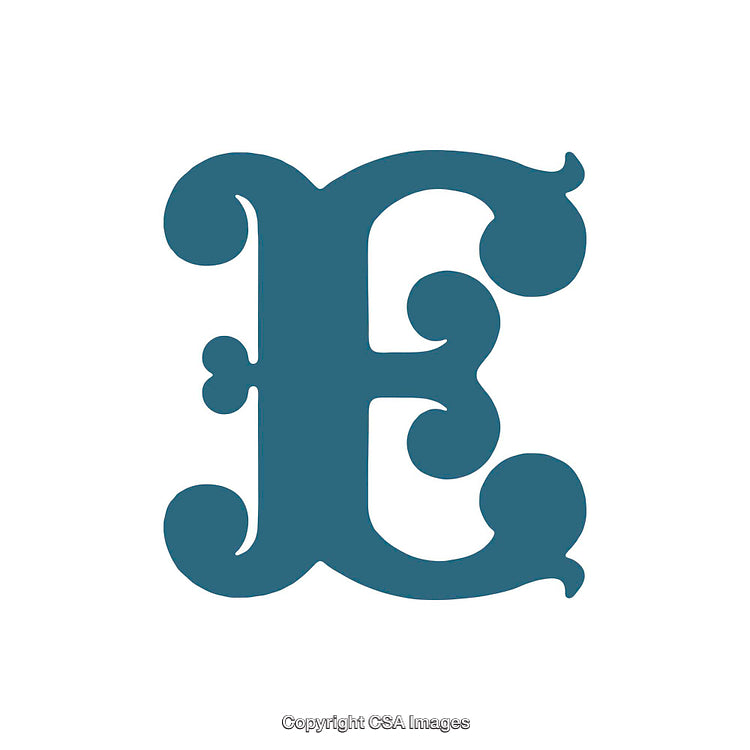 Elegant Decorative Letter E in Bold Typography Design