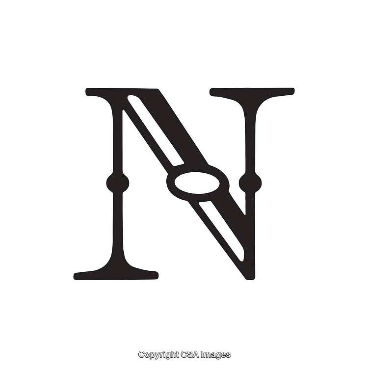Stylized Ornamental Letter 'N' Within an Elegant Typeface Design