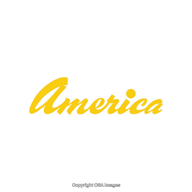 Stylized Yellow Text Design of the Word America on White Background
