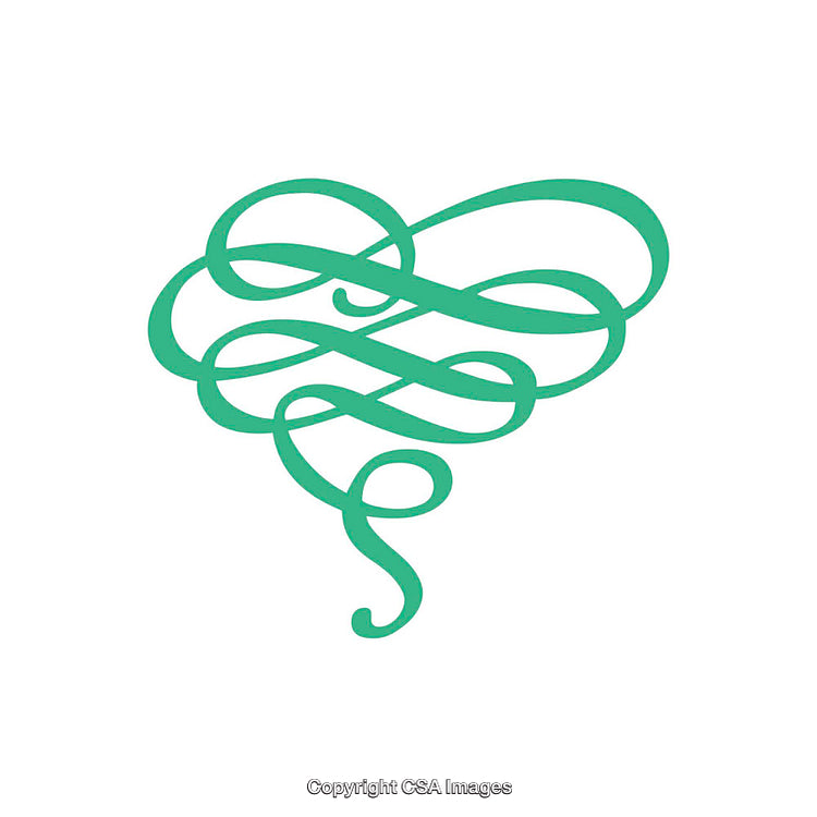 Elegant Green Calligraphic Design Featuring a Flourishing Decorative Pattern