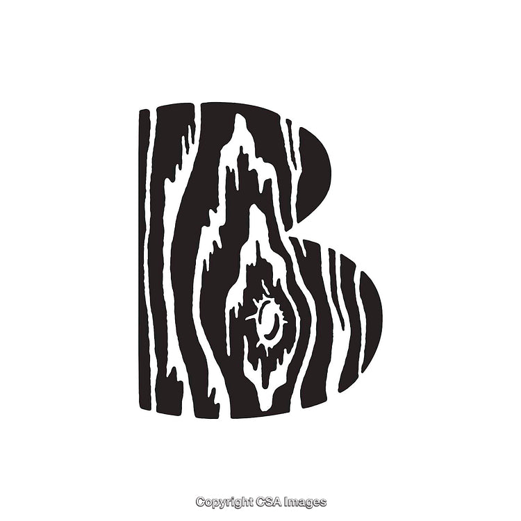 Stylized Letter B With Wood Grain Texture on White Background