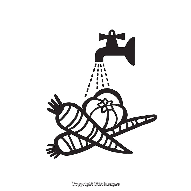 Minimalist Line Art of Tap and Fresh Vegetables Icons