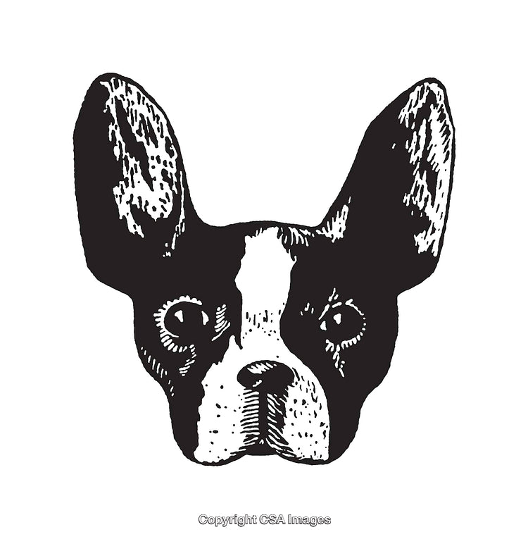 Black And White Line Art Illustration of a Dog's Face