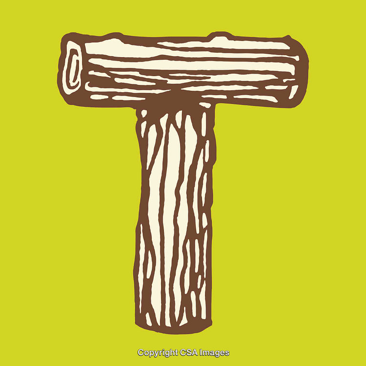 Rustic Wooden Letter T On Bright Green Background for Typography Uses