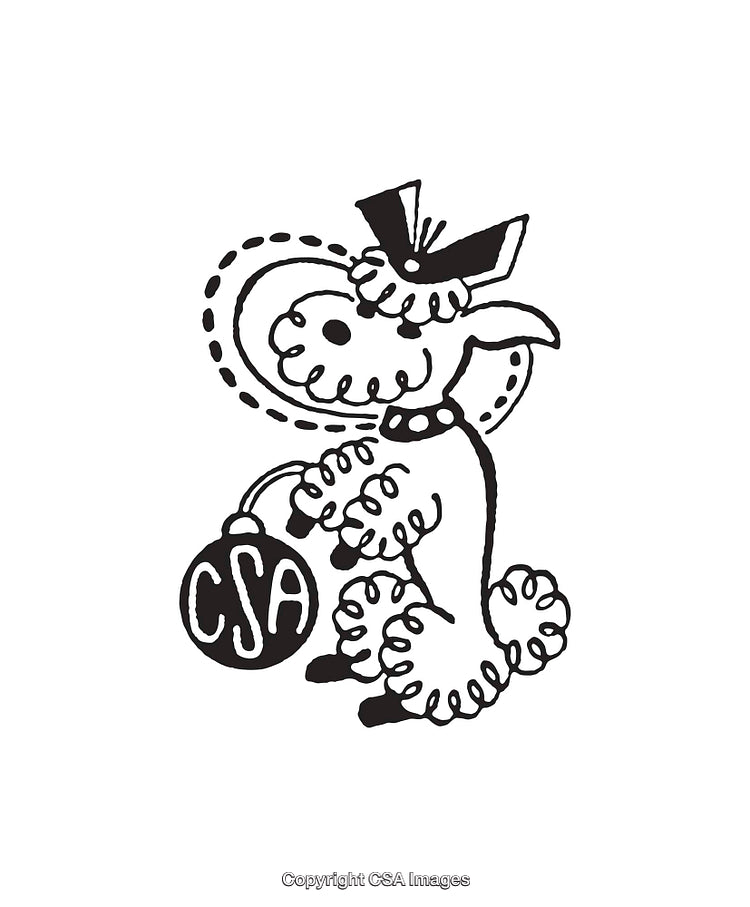Charming Poodle Line Art Illustration with Stylish CSA Balloon Accessory