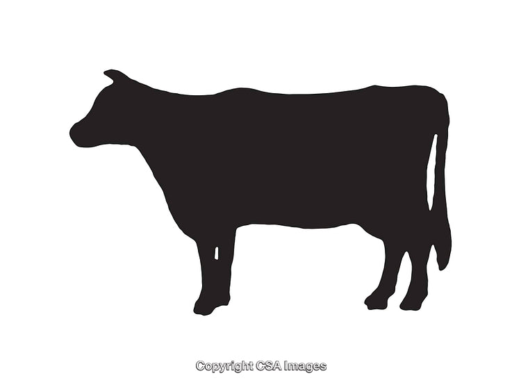 Black Silhouette of a Cow on a White Background