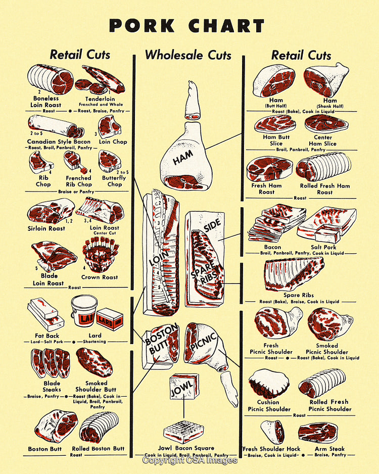 Comprehensive Pork Chart Displaying Retail and Wholesale Cuts of Pork Meat
