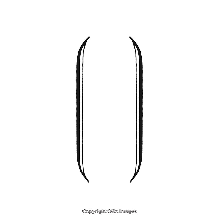 Minimalist Black and White Decorative Design Ornament with Symmetrical Curves