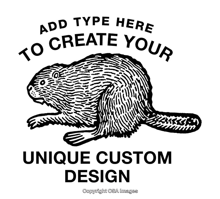 Beaver Design Format
