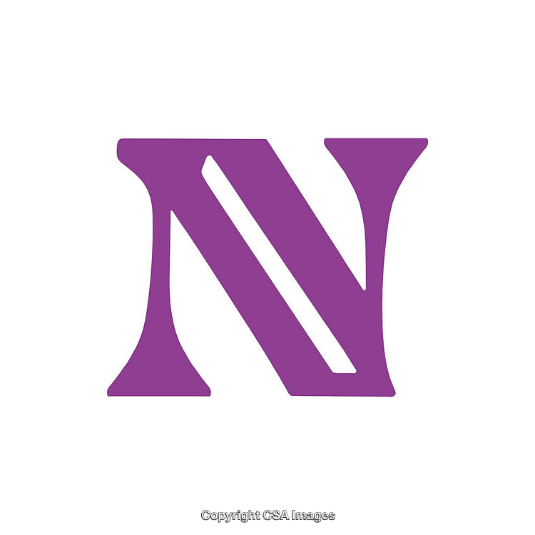 Stylized Purple Capital Letter N Isolated on White Background