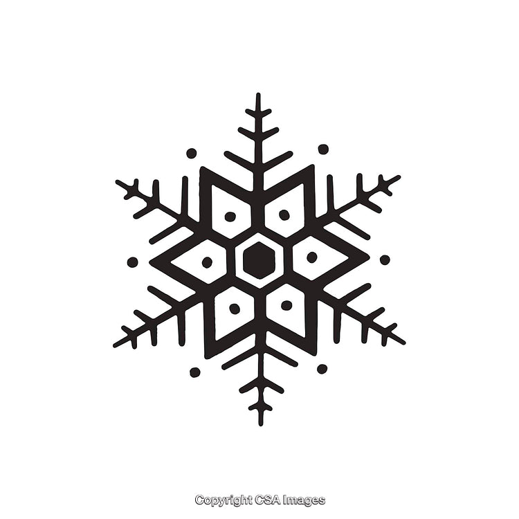 Black and White Geometric Snowflake Dingbat Design with Symmetry