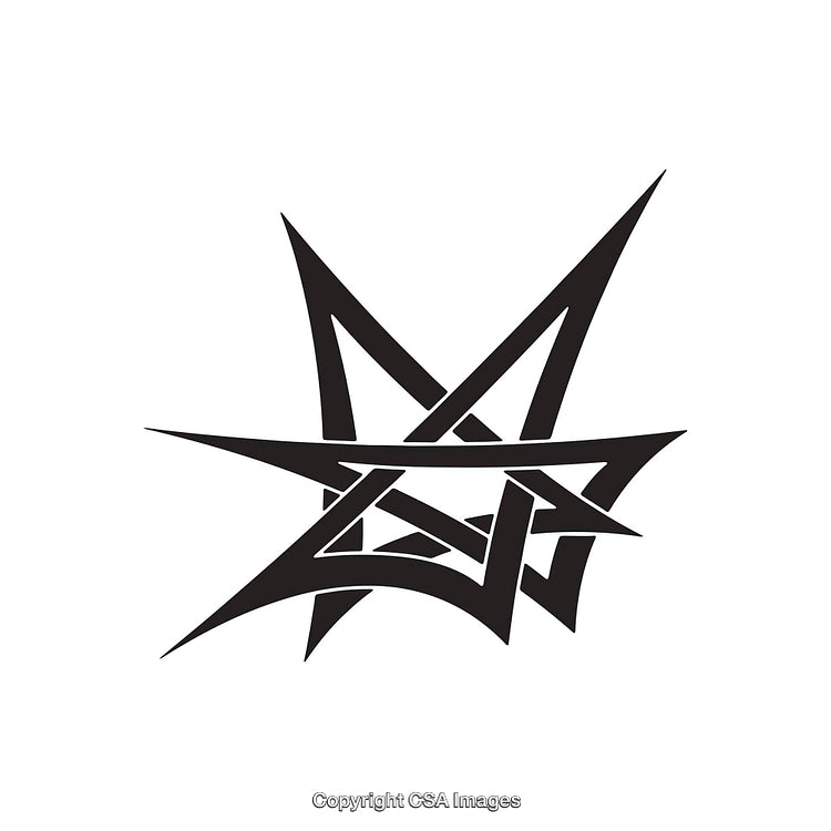 Black and White Abstract Geometric Star Shape Design
