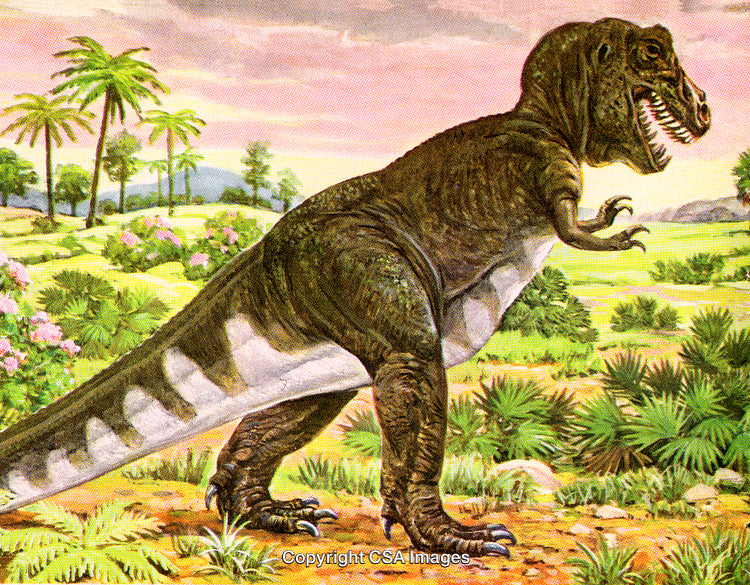Illustration of a Tyrannosaurus Rex Roaming in a Prehistoric Jungle Landscape