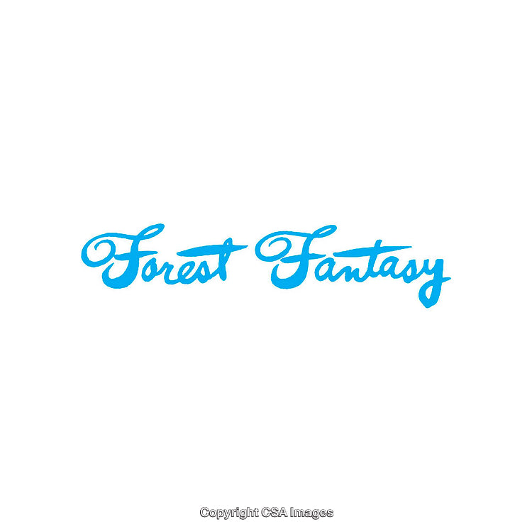 Forest Fantasy Text in Blue Cursive on White Background