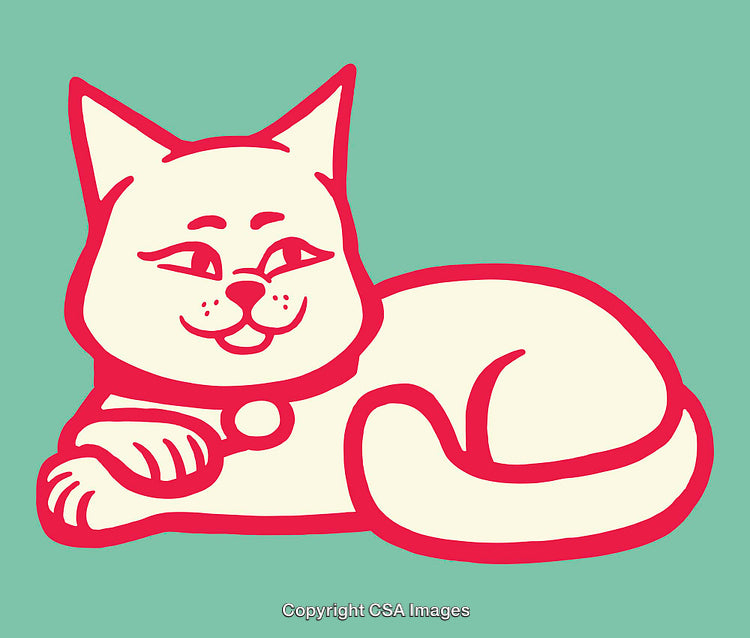 Colorful Line Art Illustration of a Relaxing Cat in Minimalist Design
