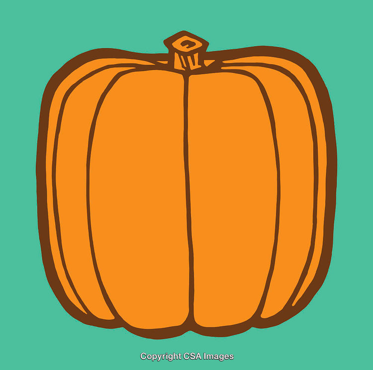 Minimalist Color Illustration of a Pumpkin on a Teal Background