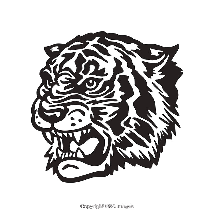 Detailed Line Art of an Aggressive Tiger Head with Fierce Expression