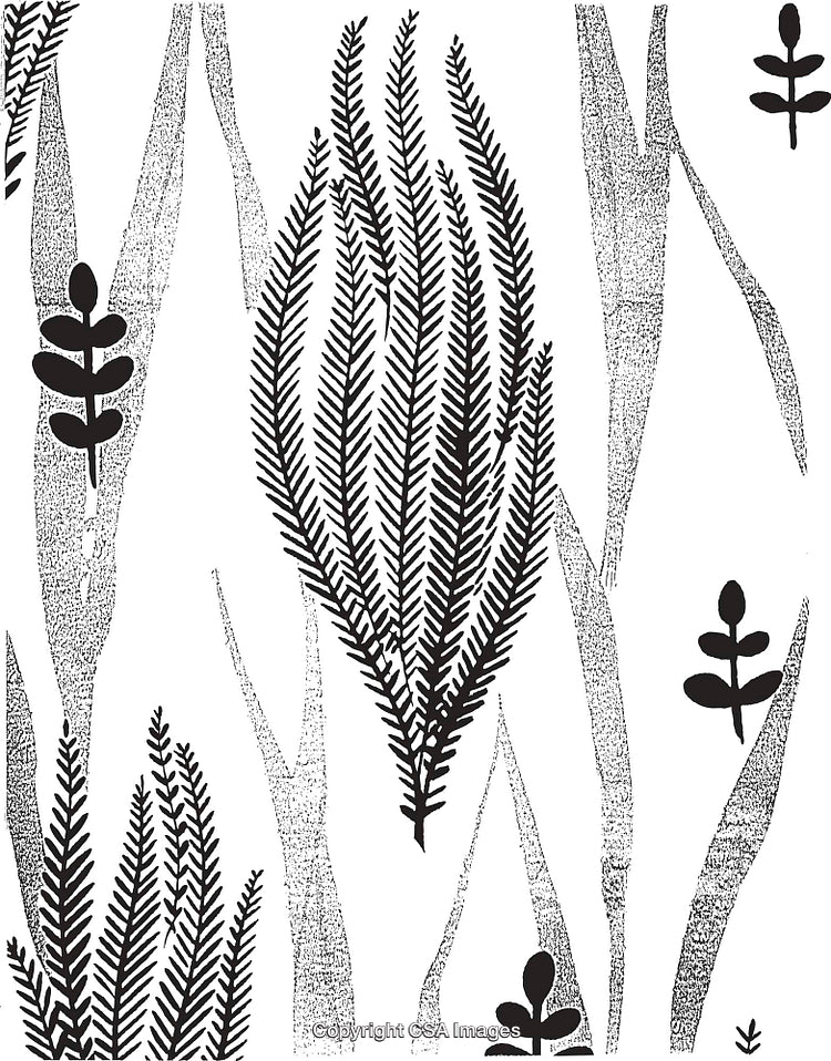 Black and White Botanical Illustration with Abstract Patterns