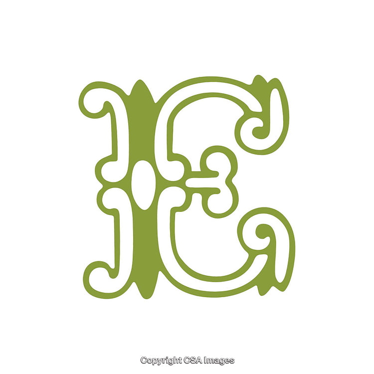 Intricate Green Ornamental Letter E on a White Background