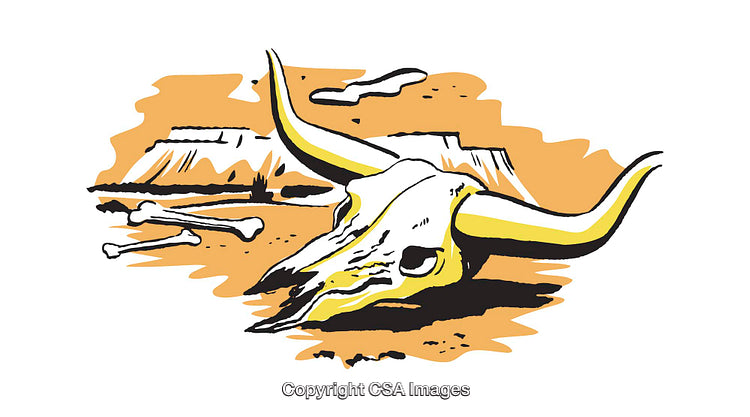 Illustration of Bull Skull in a Colorful Desert Landscape Setting