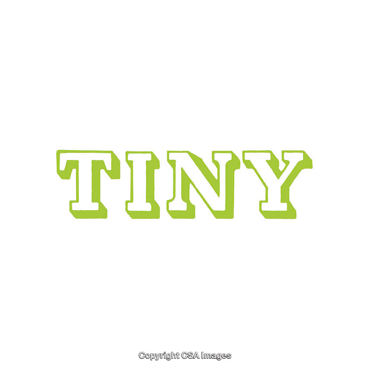 Typography Artwork Featuring the Word Tiny in Green Stylized Font