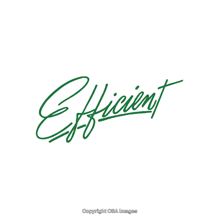 Green Handwritten Efficient Text on a Clean White Background