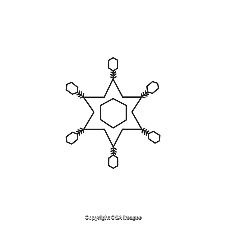 Abstract Geometric Shape Featuring Hexagonal and Star Patterns in Monochrome
