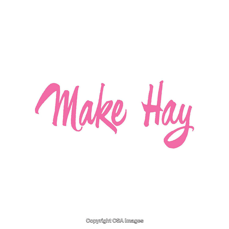 Pink Script-Style Text Reading Make Hay on White Background