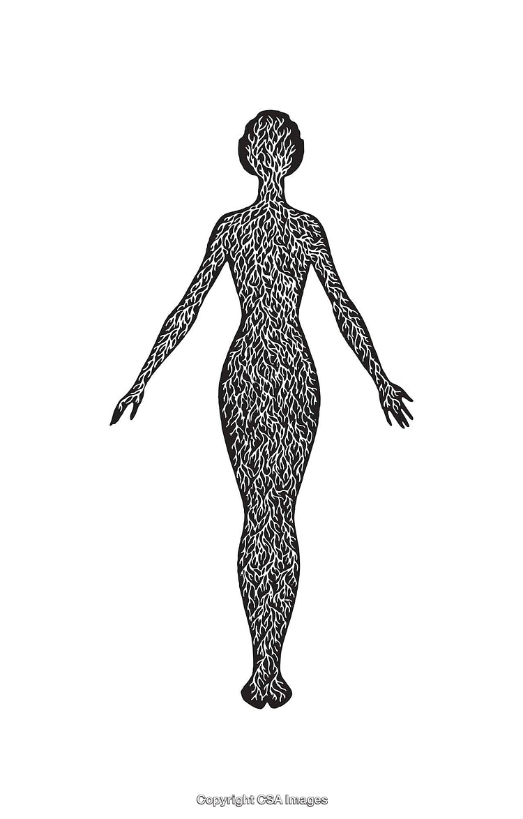 Silhouette of Human Figure Decorated with Intricate Vascular Patterns