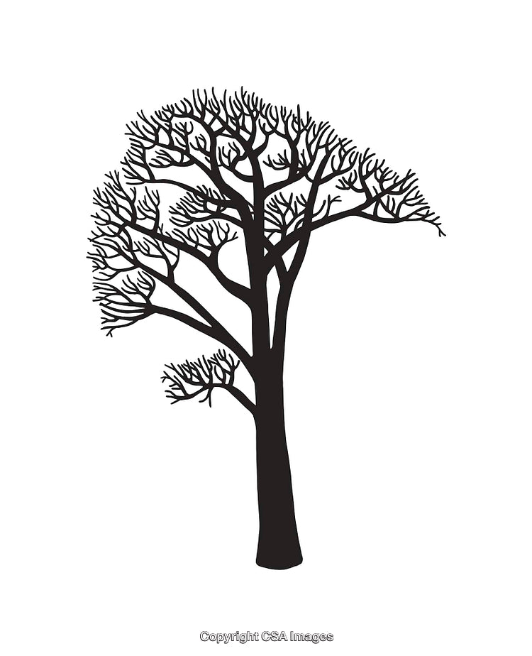 Black and White Silhouette of a Bare Tree Illustration