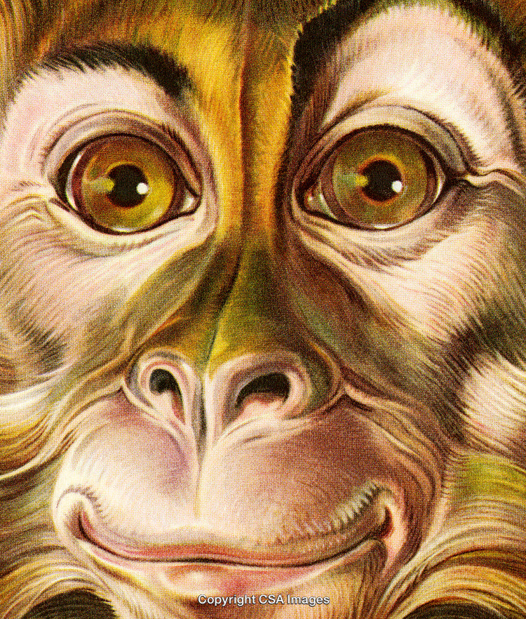 Colorful Portrait of a Monkey With a Bright Artistic Expression