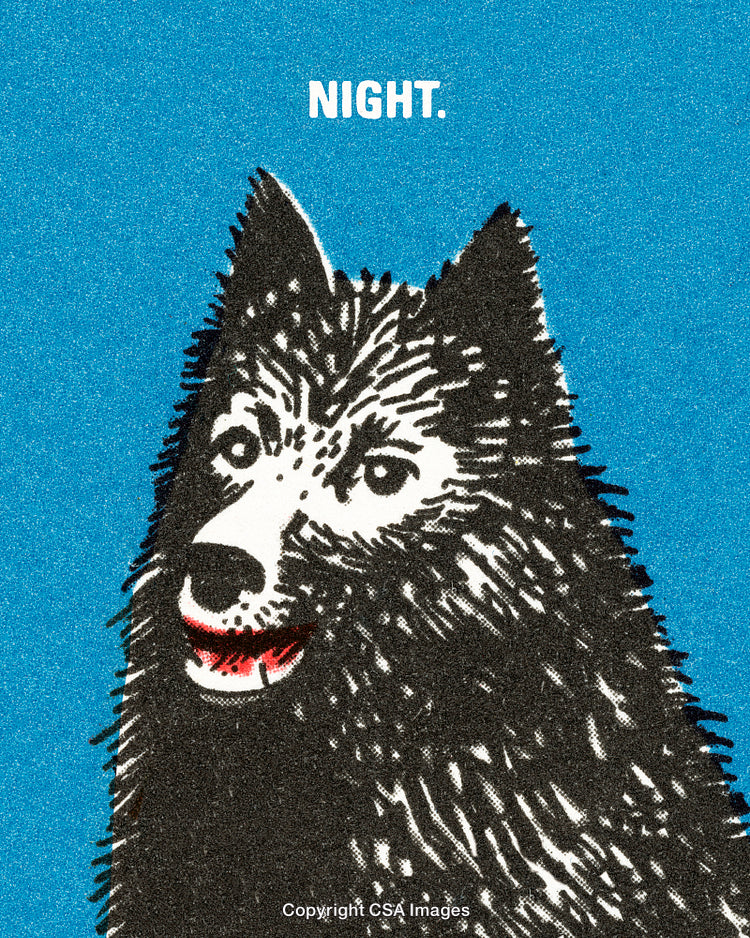 Illustration of a Husky Dog Against a Bright Blue Background