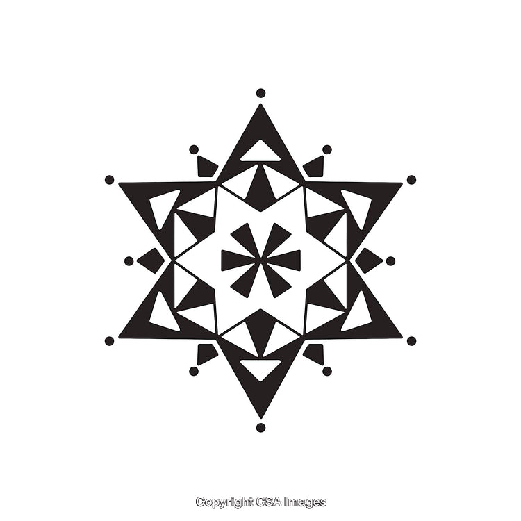 Stylized Black and White Geometric Star with Intricate Patterns