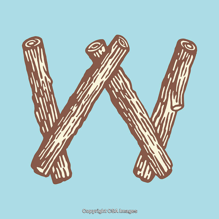 Illustration of the Letter W Created Using Wooden Sticks on Blue Background