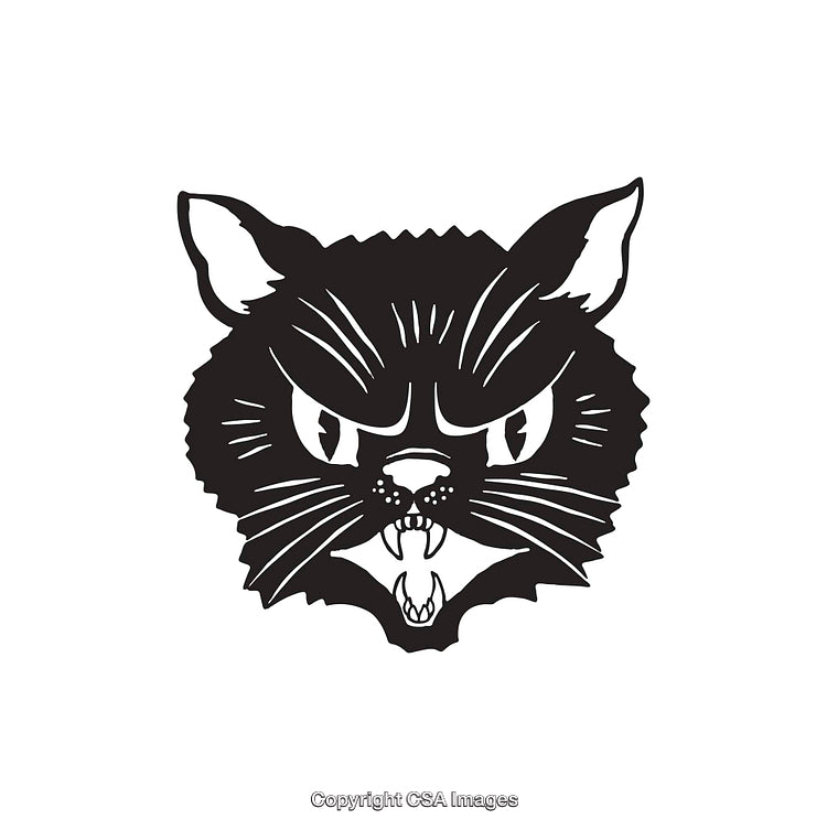 Black and White Line Art Illustration of an Angry Cat's Face