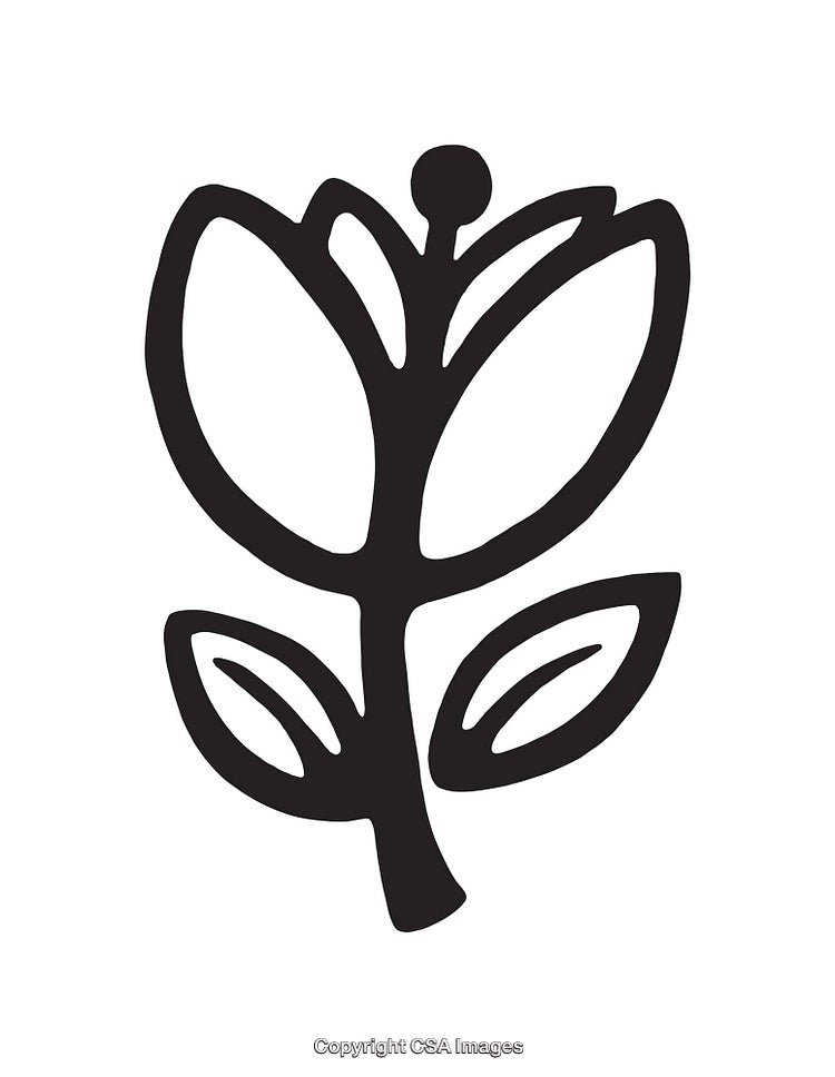 Minimalist Black and White Line Art Flower Illustration Artwork