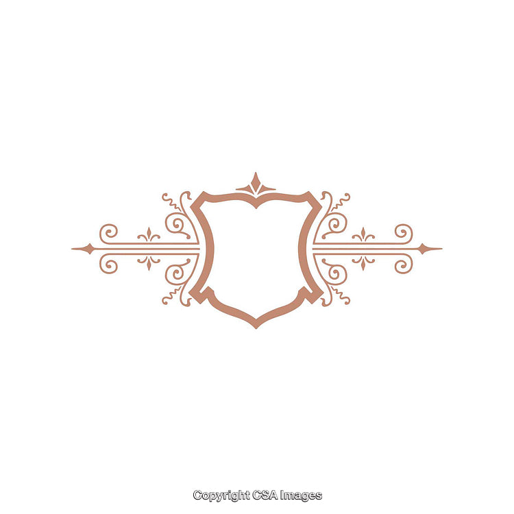 Elegant Decorative Ornament with Shield and Floral Design on White Background