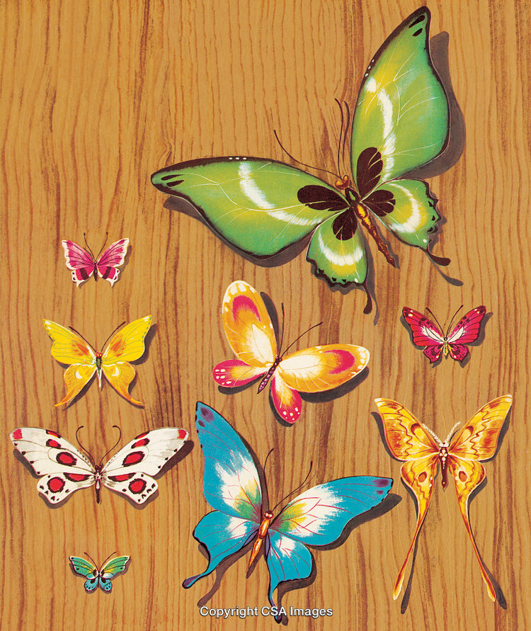 Colorful Butterflies Arranged on a Wooden Background with Bright Designs