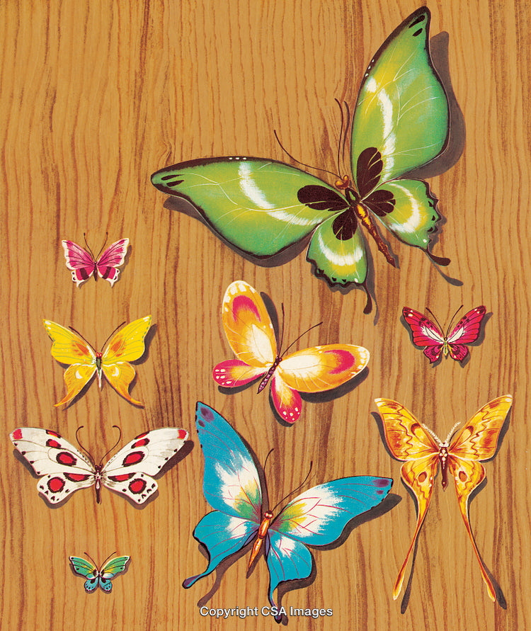 Colorful Butterflies Arranged on a Wooden Background with Bright Designs