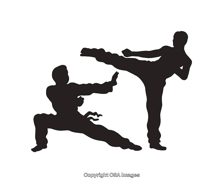 Silhouette of Martial Artists in Combat Pose Showcasing Dynamic Movements