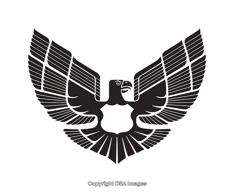 Black and White Stylized Eagle Emblem with Outstretched Wings