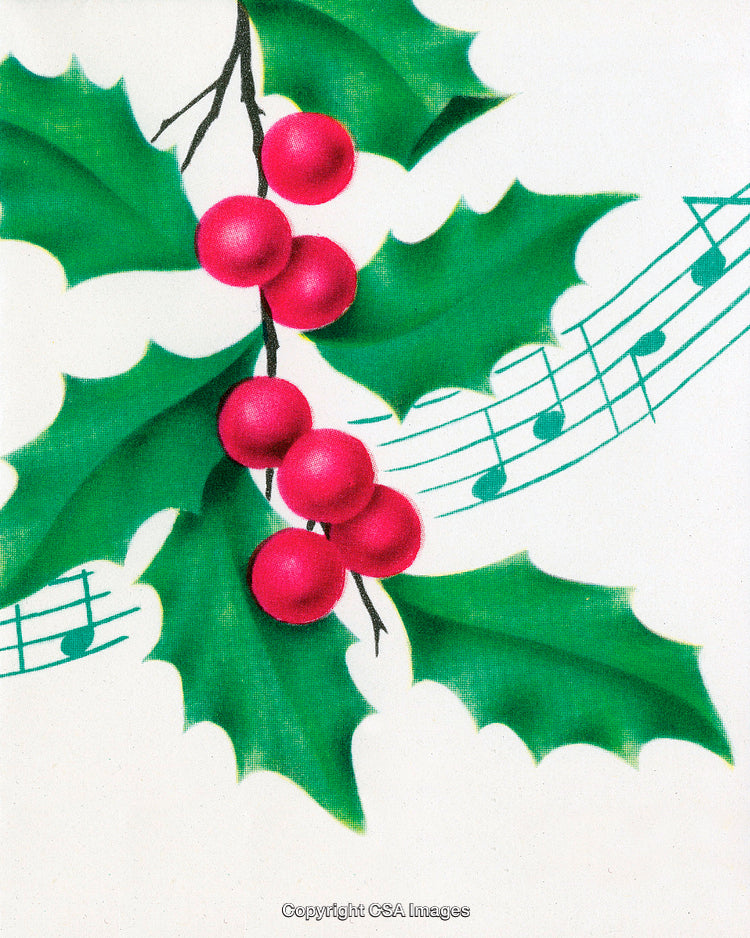 Traditional Christmas Holly With Festive Green Leaves and Red Berries Illustration