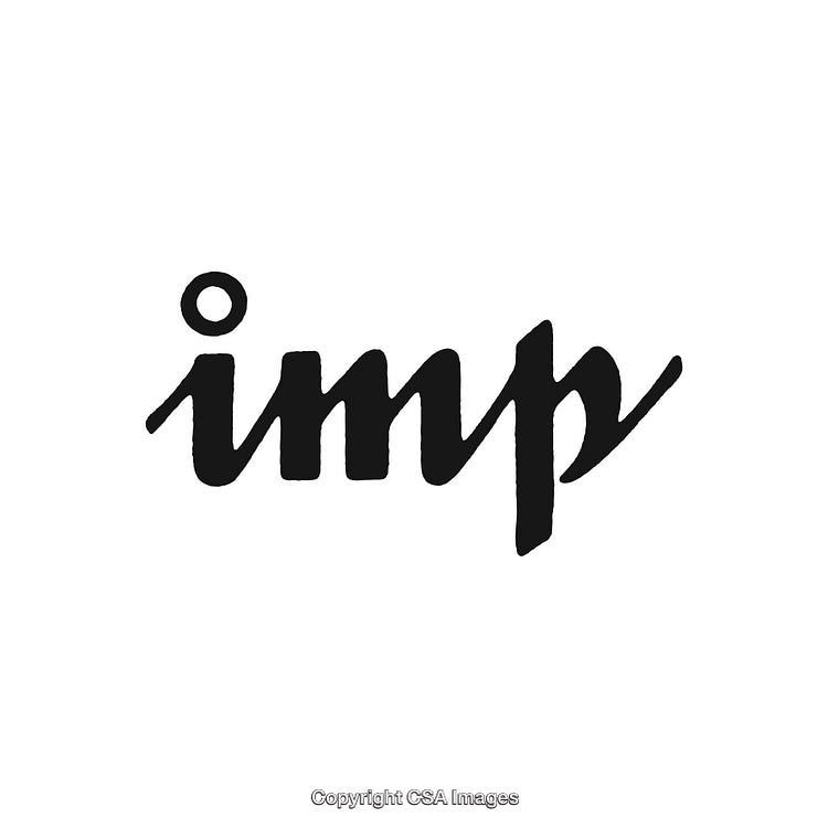 Modern Black Ink Wordmark Logo on a White Background